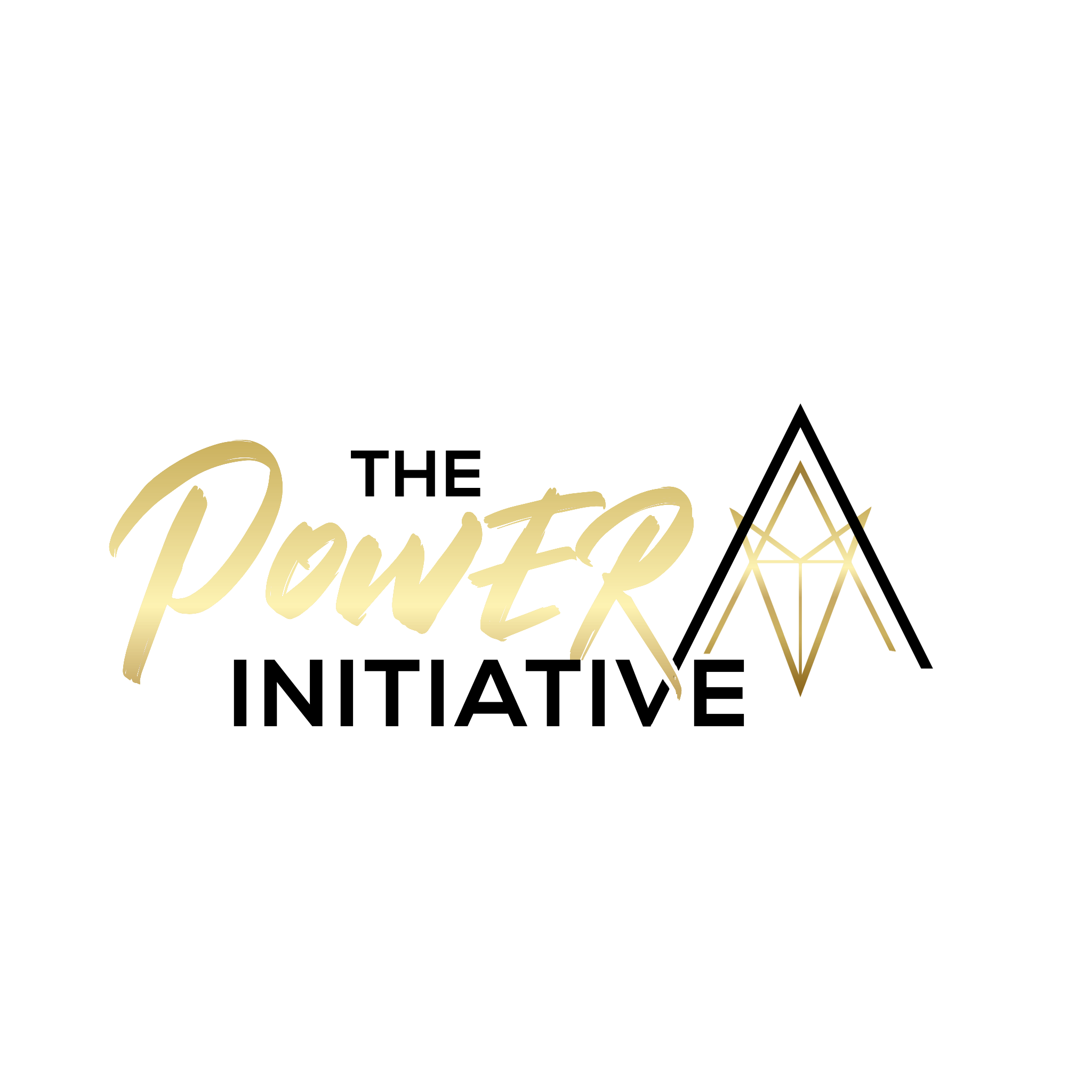 THE POWER INITIATIVE